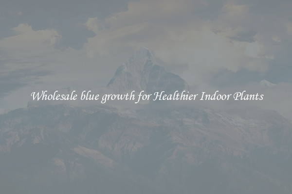 Wholesale blue growth for Healthier Indoor Plants
