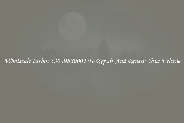 Wholesale turbos 53049880001 To Repair And Renew Your Vehicle