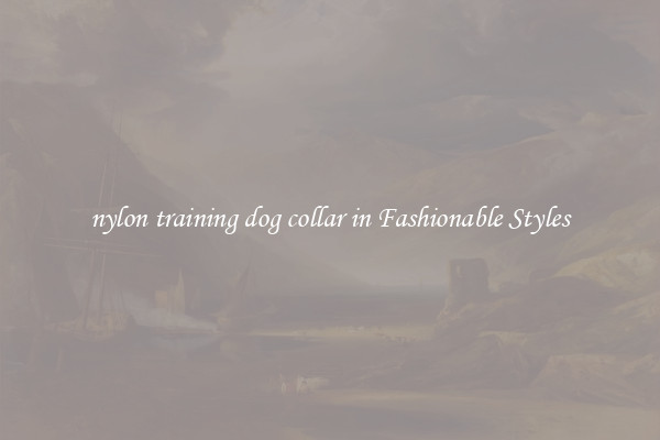 nylon training dog collar in Fashionable Styles
