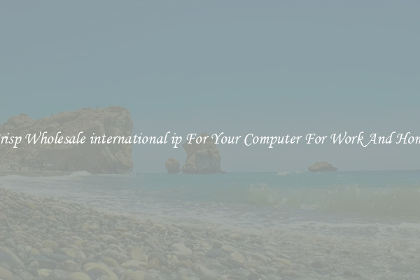 Crisp Wholesale international ip For Your Computer For Work And Home
