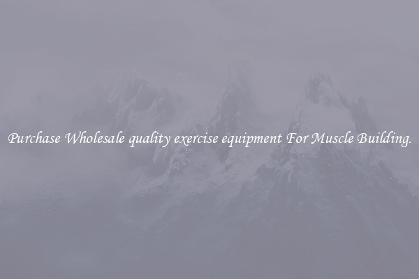 Purchase Wholesale quality exercise equipment For Muscle Building.