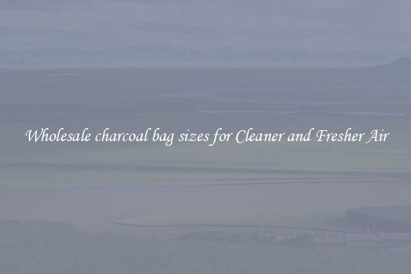 Wholesale charcoal bag sizes for Cleaner and Fresher Air