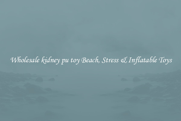 Wholesale kidney pu toy Beach, Stress & Inflatable Toys