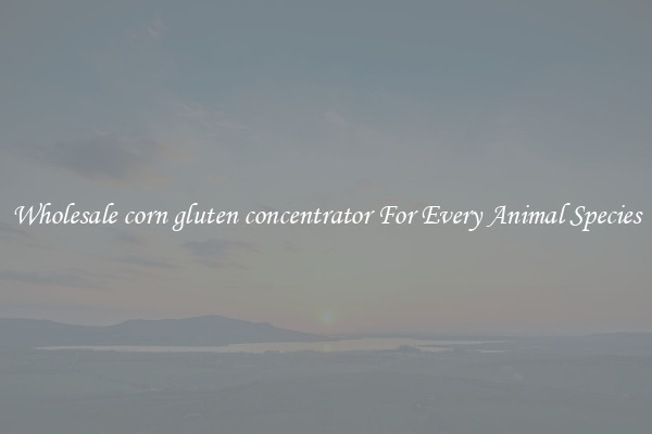 Wholesale corn gluten concentrator For Every Animal Species