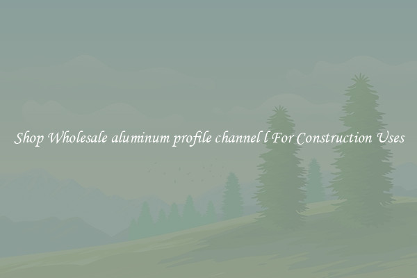 Shop Wholesale aluminum profile channel l For Construction Uses