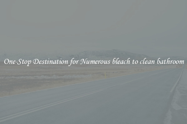 One-Stop Destination for Numerous bleach to clean bathroom