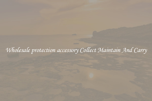 Wholesale protection accessory Collect Maintain And Carry