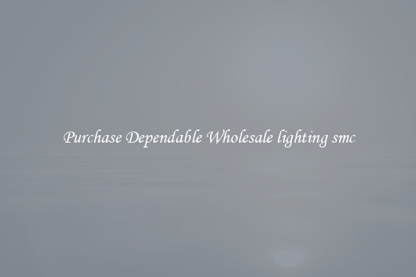 Purchase Dependable Wholesale lighting smc