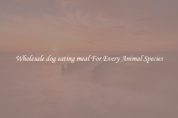 Wholesale dog eating meal For Every Animal Species