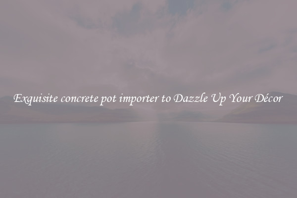 Exquisite concrete pot importer to Dazzle Up Your Décor 
