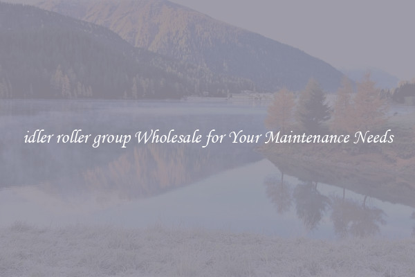 idler roller group Wholesale for Your Maintenance Needs