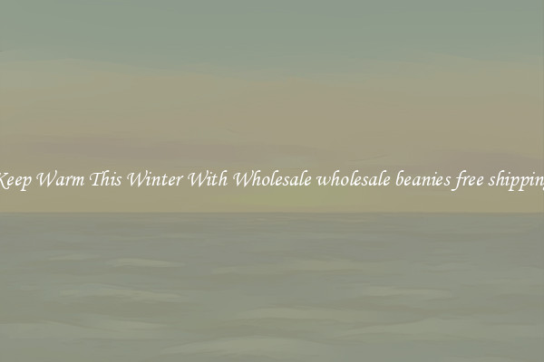 Keep Warm This Winter With Wholesale wholesale beanies free shipping