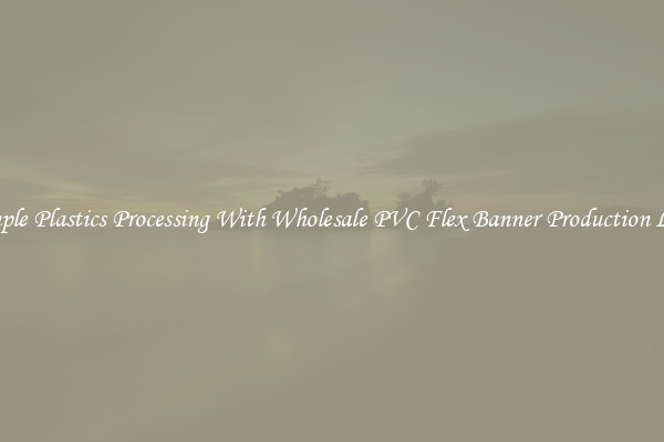 Simple Plastics Processing With Wholesale PVC Flex Banner Production Line