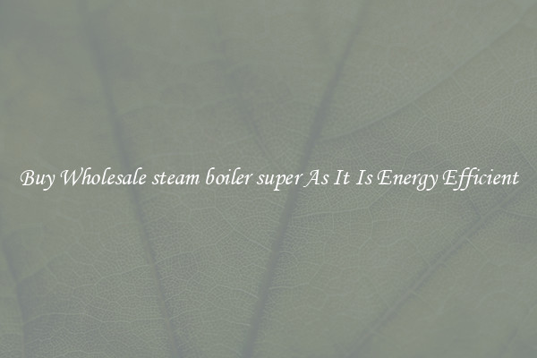Buy Wholesale steam boiler super As It Is Energy Efficient