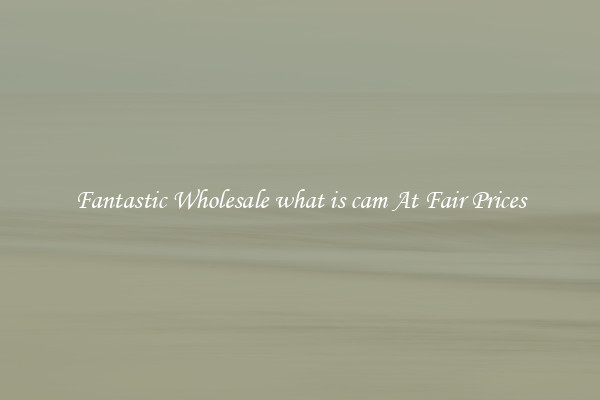 Fantastic Wholesale what is cam At Fair Prices